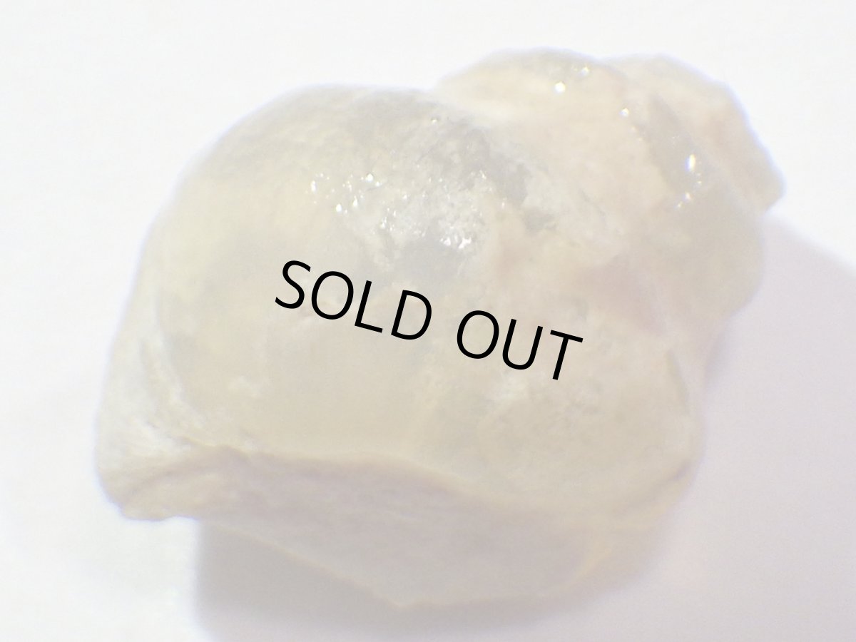 画像4: ライトニングリッジ産オパール化巻貝化石Ｄ (4)