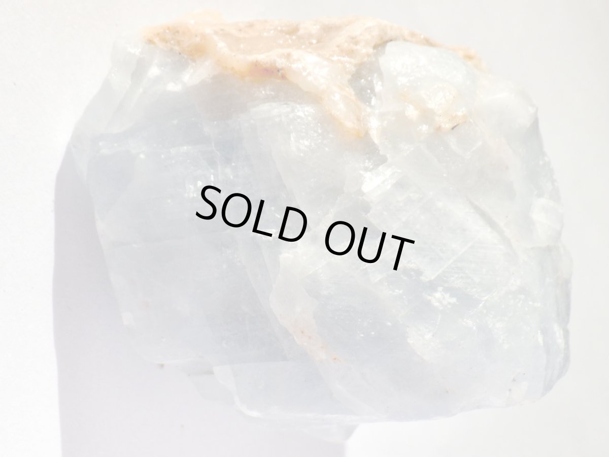 画像4: ブルーカルサイトＤ (4)