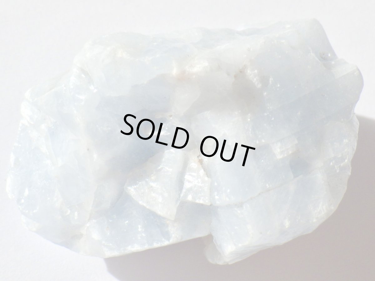 画像2: ブルーカルサイトＤ (2)