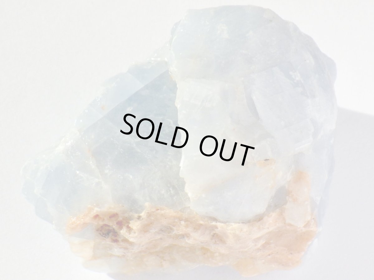 画像3: ブルーカルサイトＤ (3)