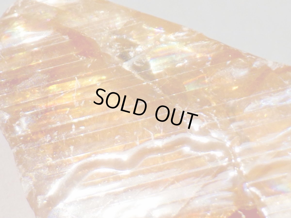 画像4: ハニーカルサイトＢ (4)