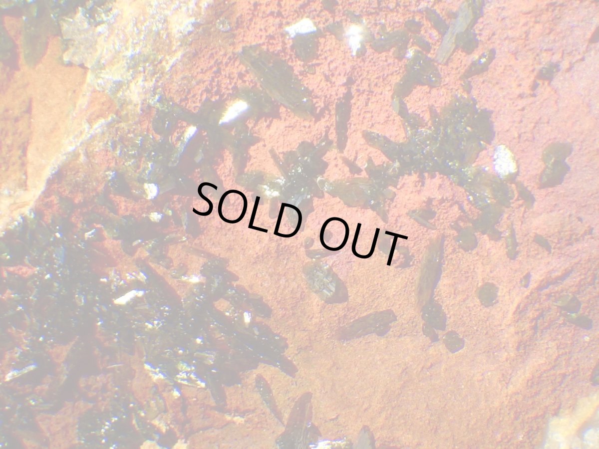 画像3: ネバダ産オリーブナイトＢ (3)