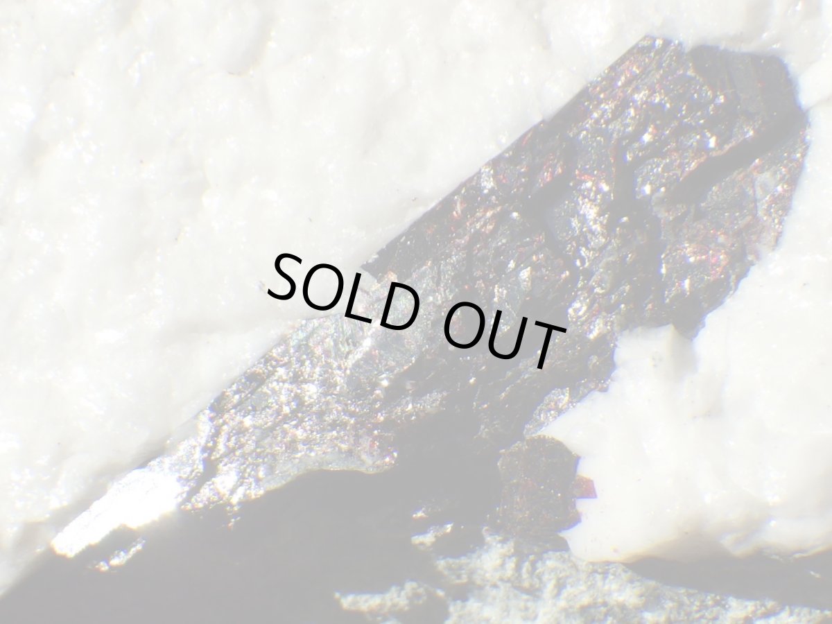 画像5: ネプチュナイトＡ (5)