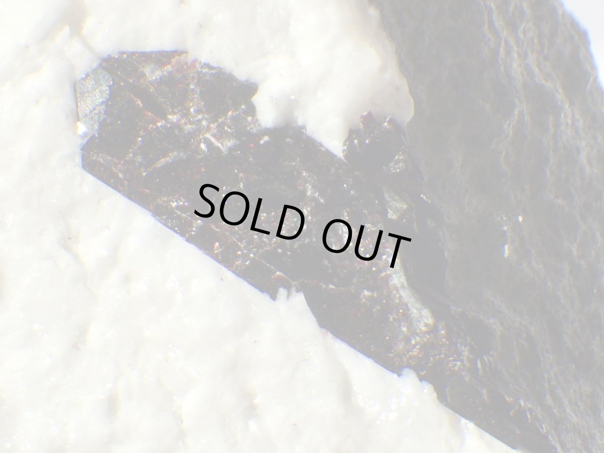 画像2: ネプチュナイトＡ (2)