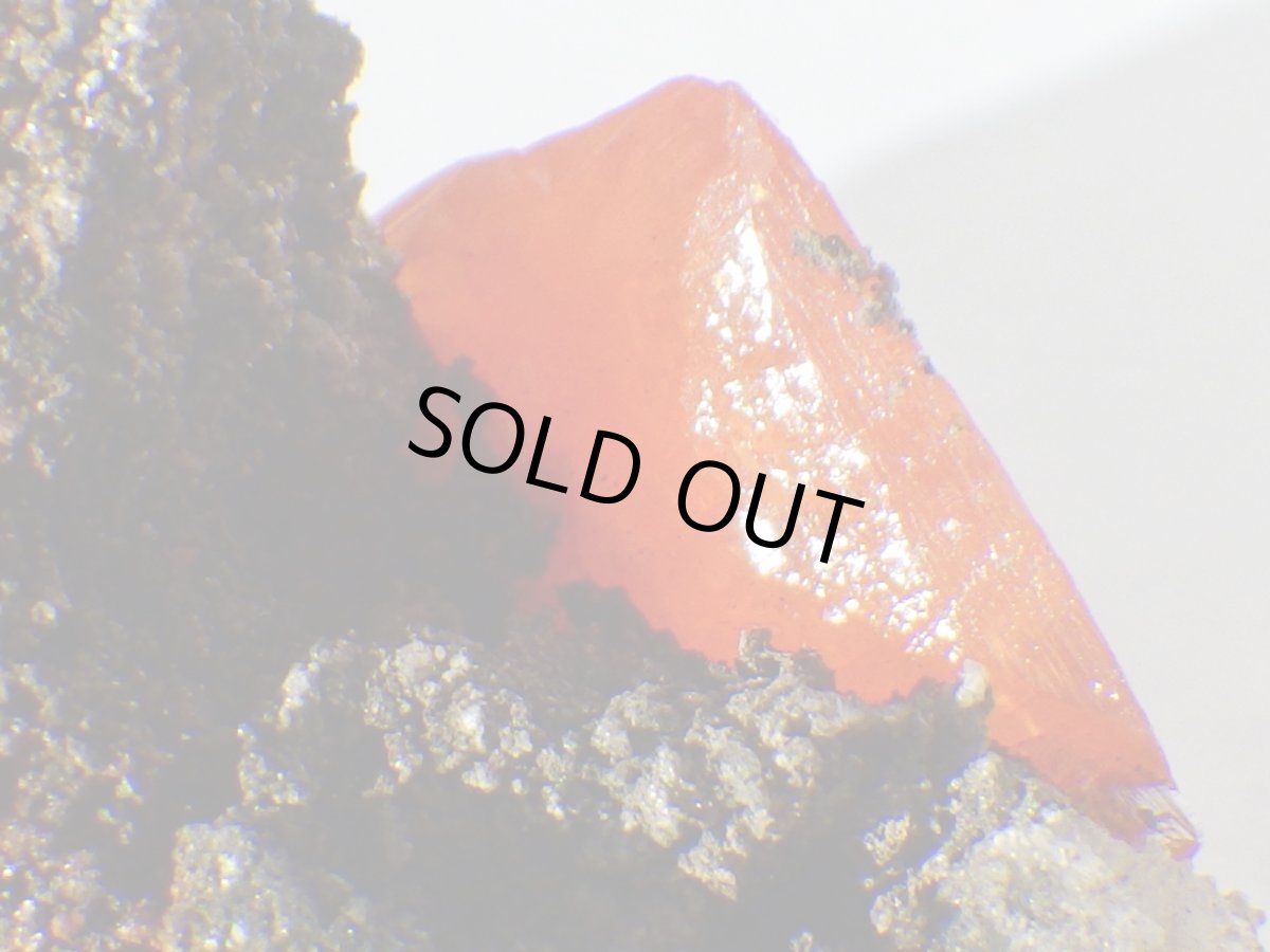 画像5: アリゾナ産母岩付ウルフェナイトＣ (5)