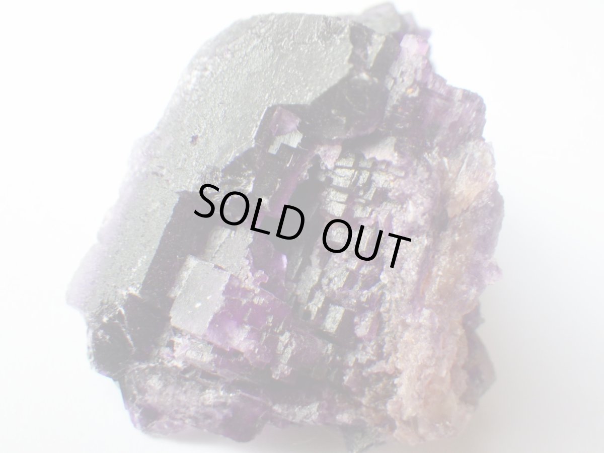 画像1: イリノイフローライトＢ (1)