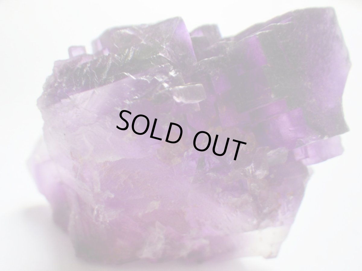 画像6: イリノイフローライトＣ (6)