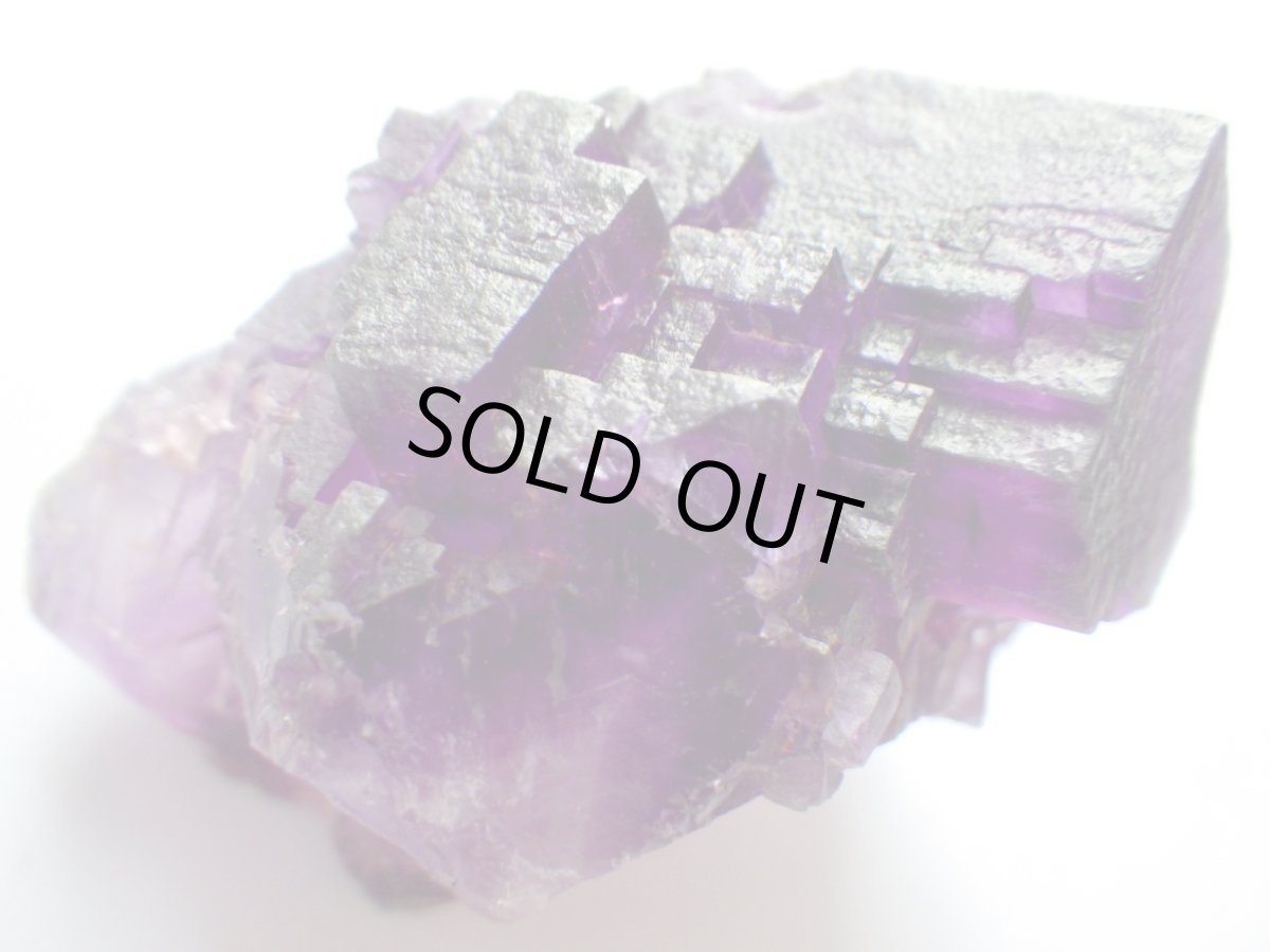 画像5: イリノイフローライトＣ (5)