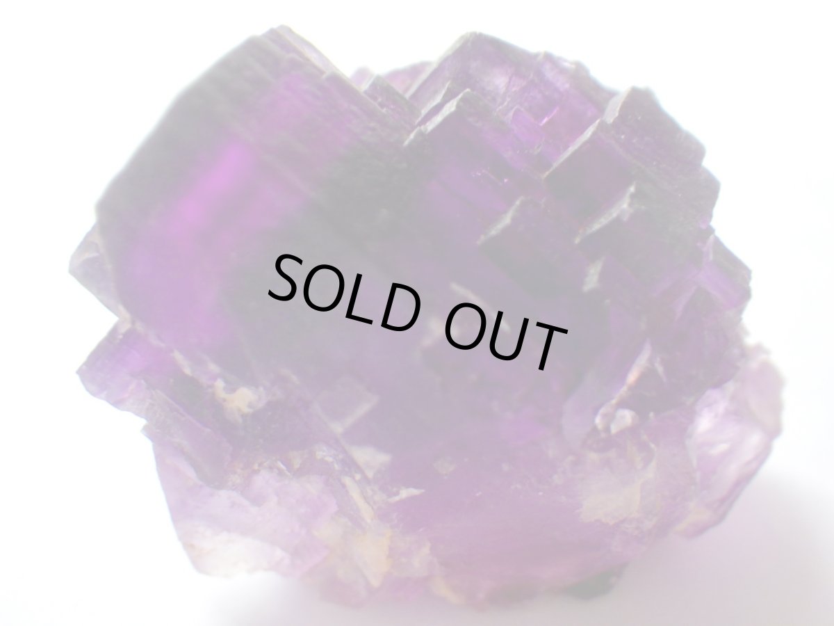 画像3: イリノイフローライトＣ (3)