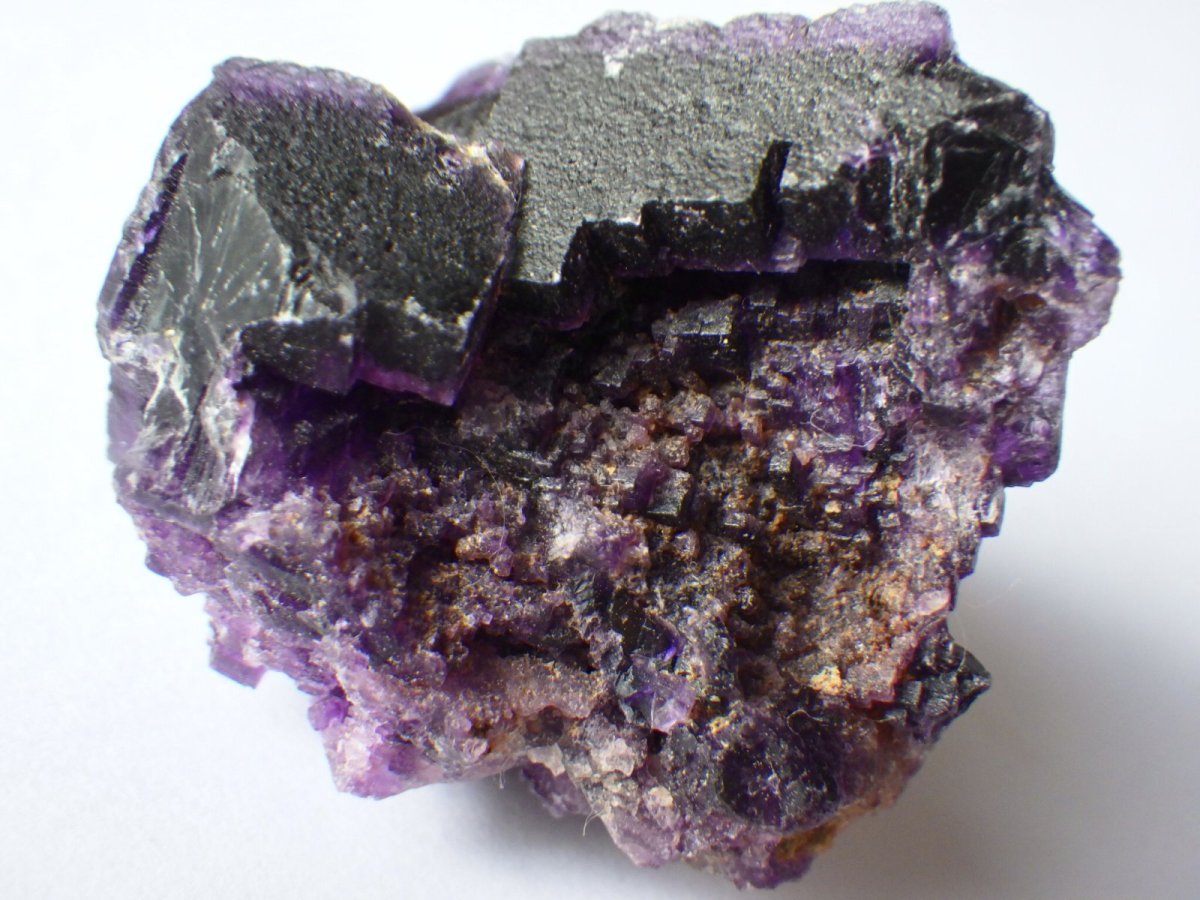 画像2: イリノイフローライトＢ (2)