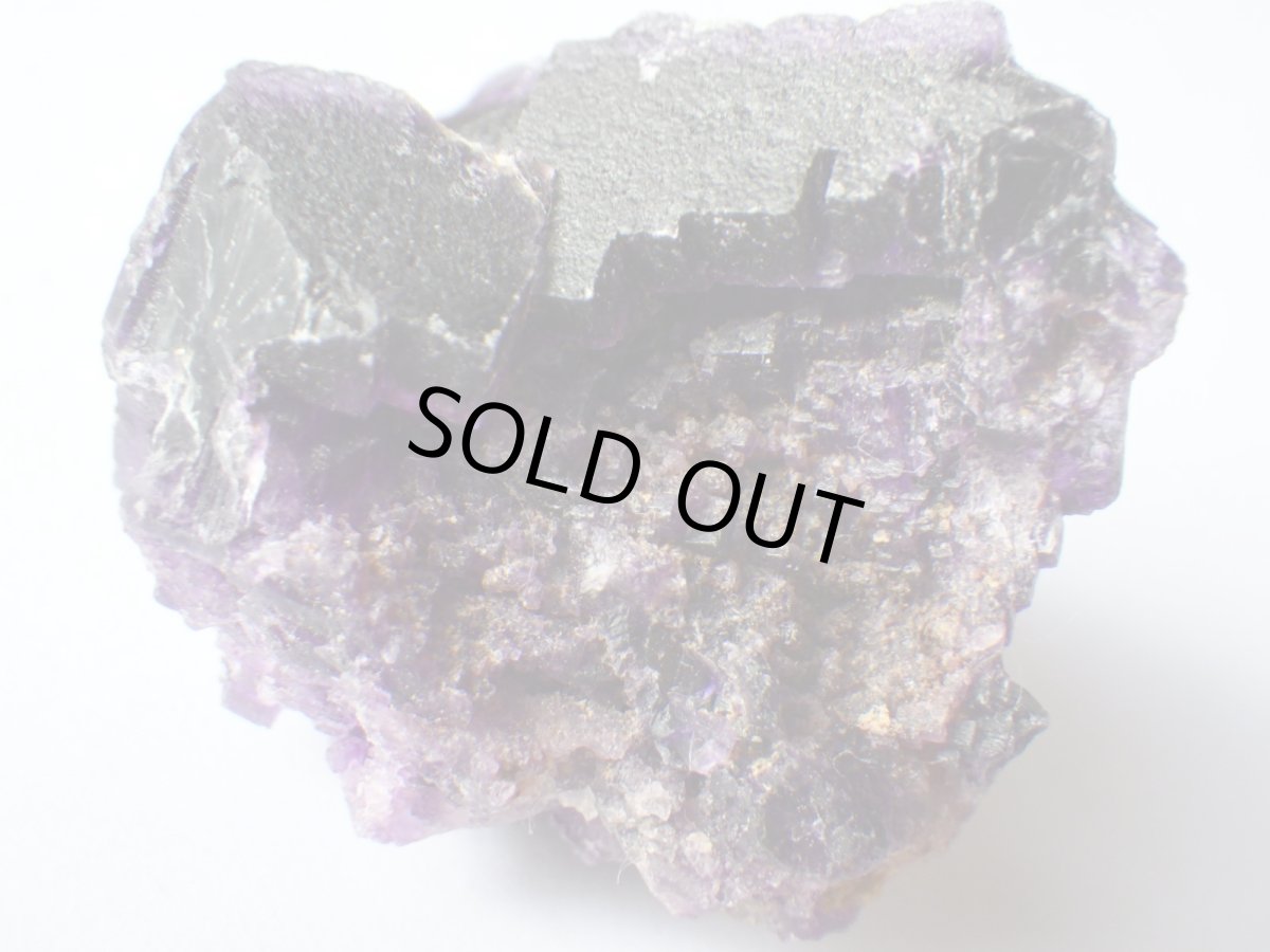 画像2: イリノイフローライトＢ (2)