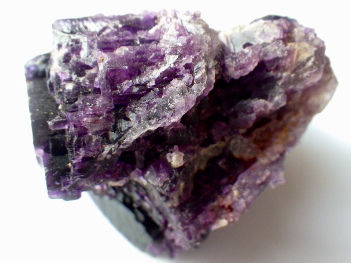 画像5: イリノイフローライトＢ (5)