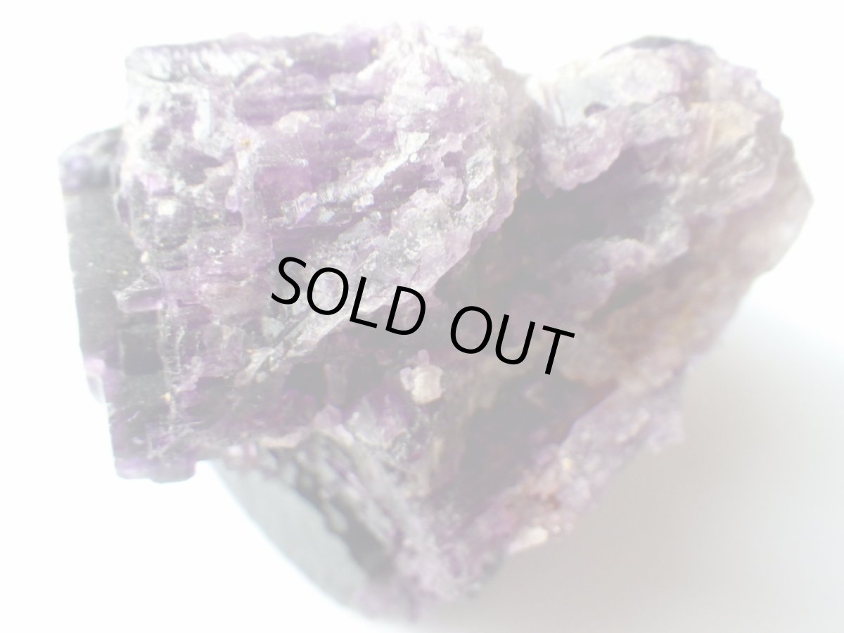 画像5: イリノイフローライトＢ (5)