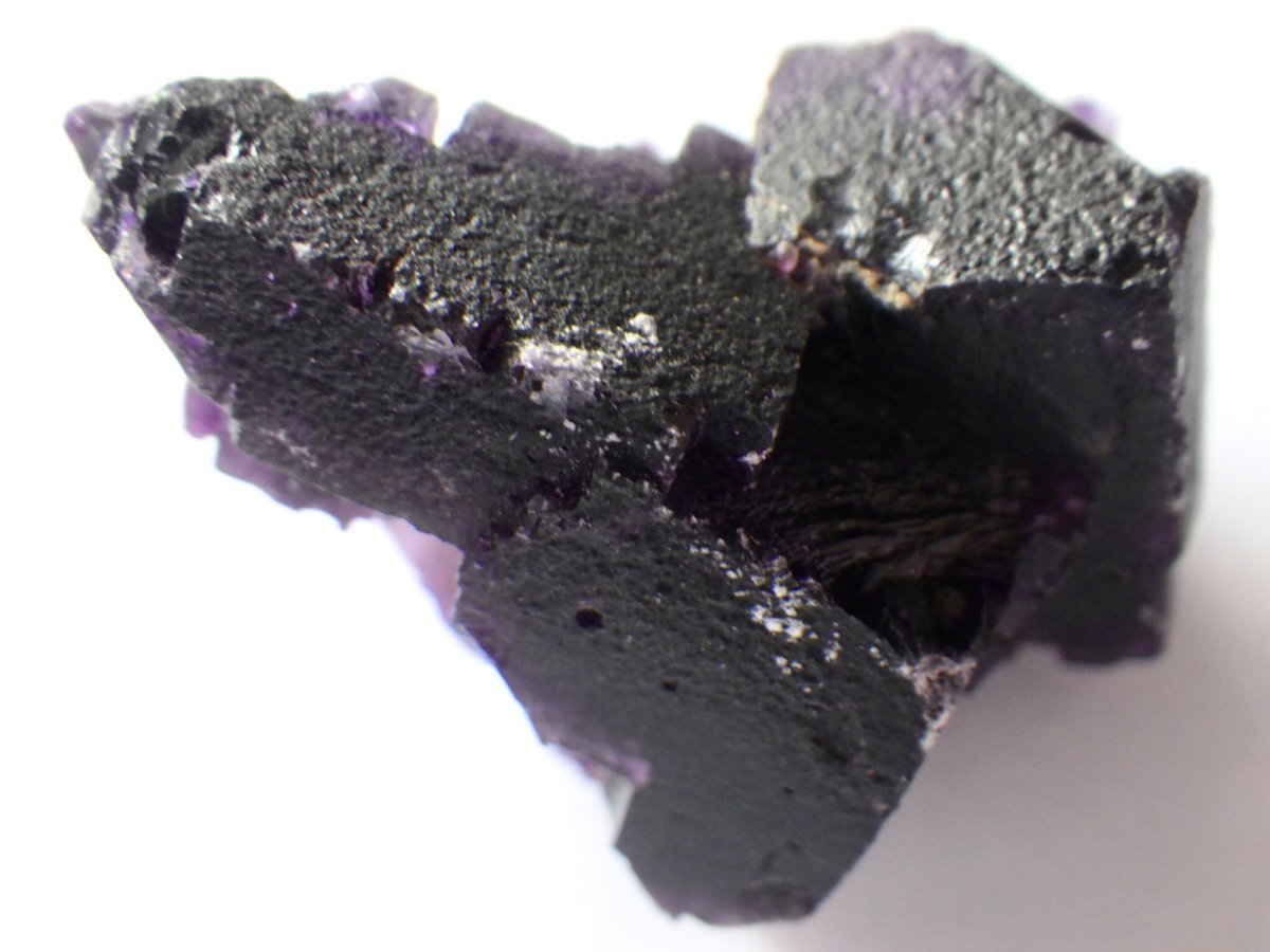 画像3: イリノイフローライトＢ (3)