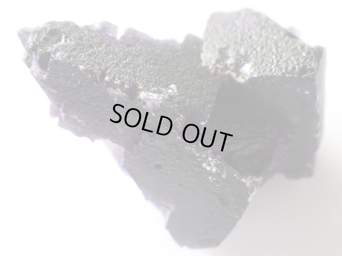 画像3: イリノイフローライトＢ (3)