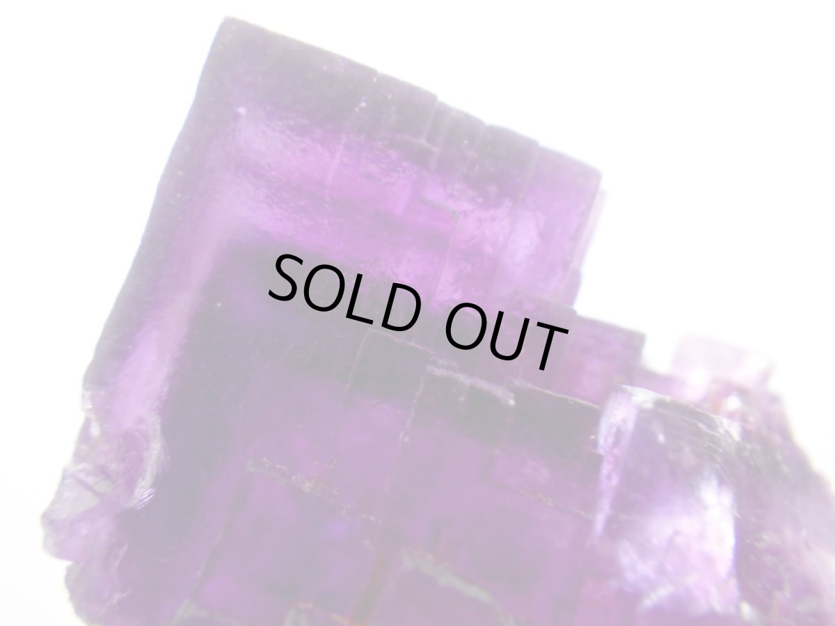 画像1: イリノイフローライトＣ (1)