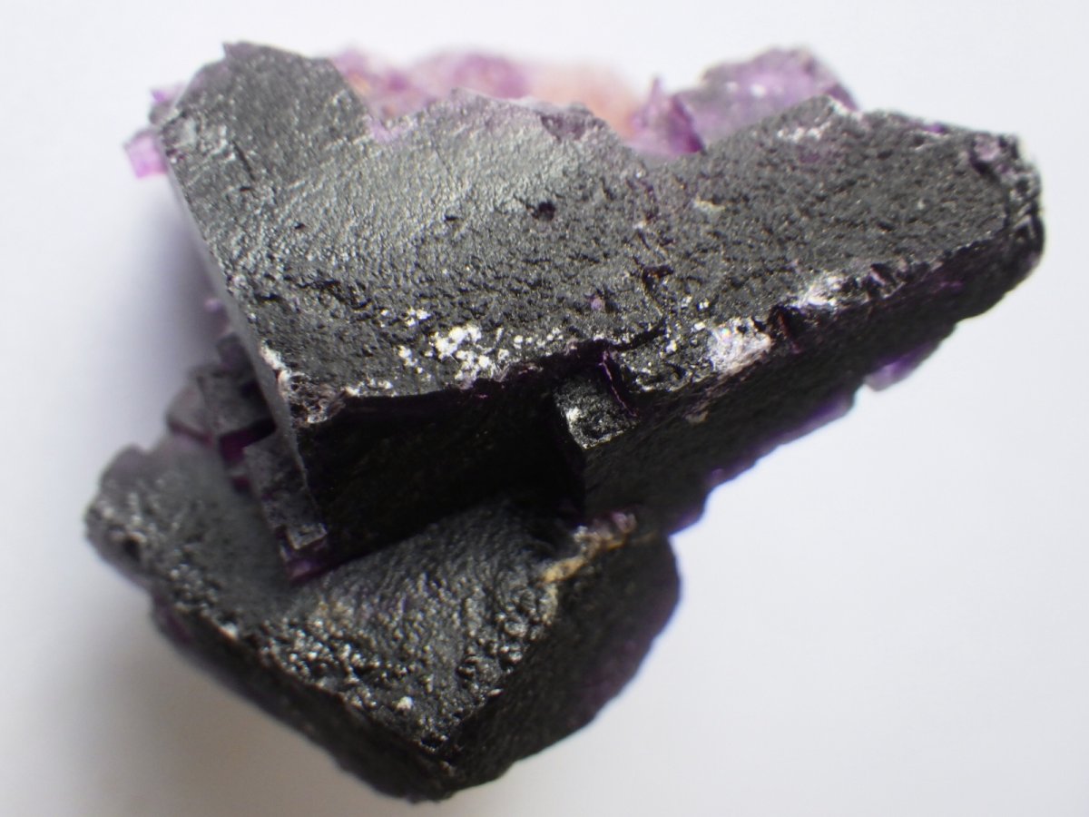 画像4: イリノイフローライトＢ (4)