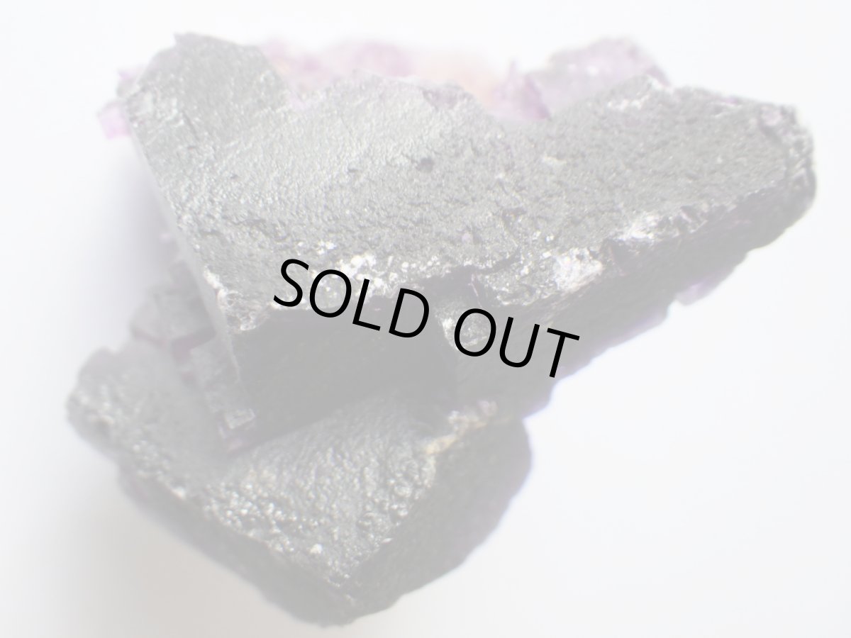 画像4: イリノイフローライトＢ (4)