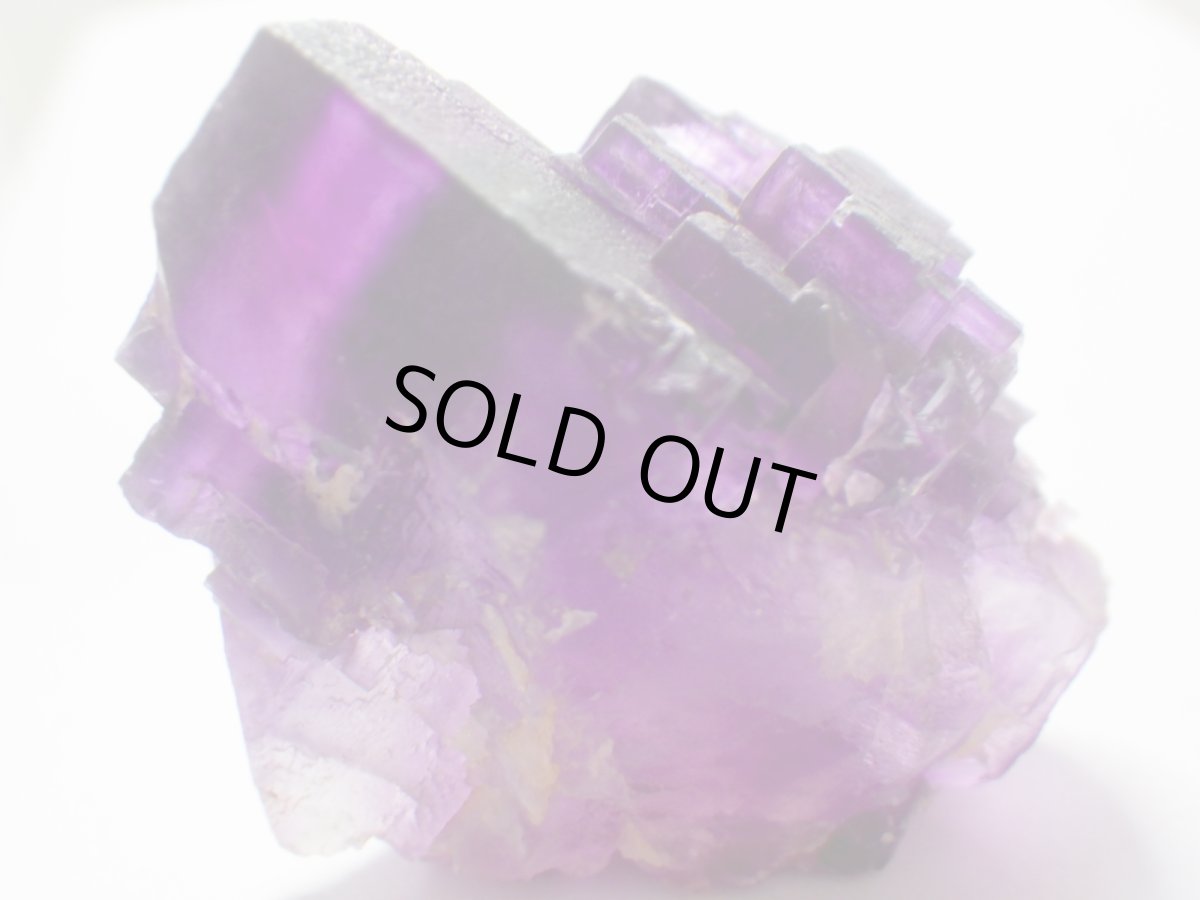 画像7: イリノイフローライトＣ (7)