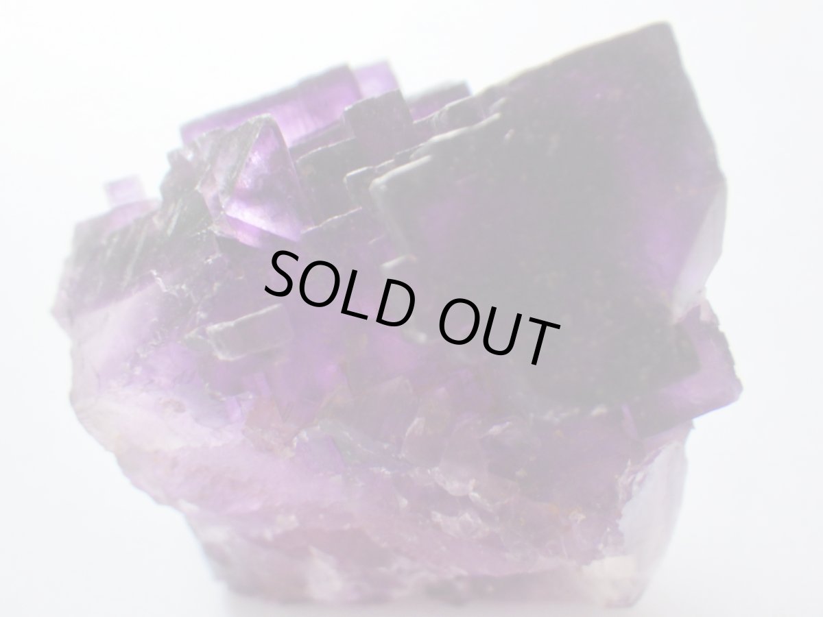 画像4: イリノイフローライトＣ (4)