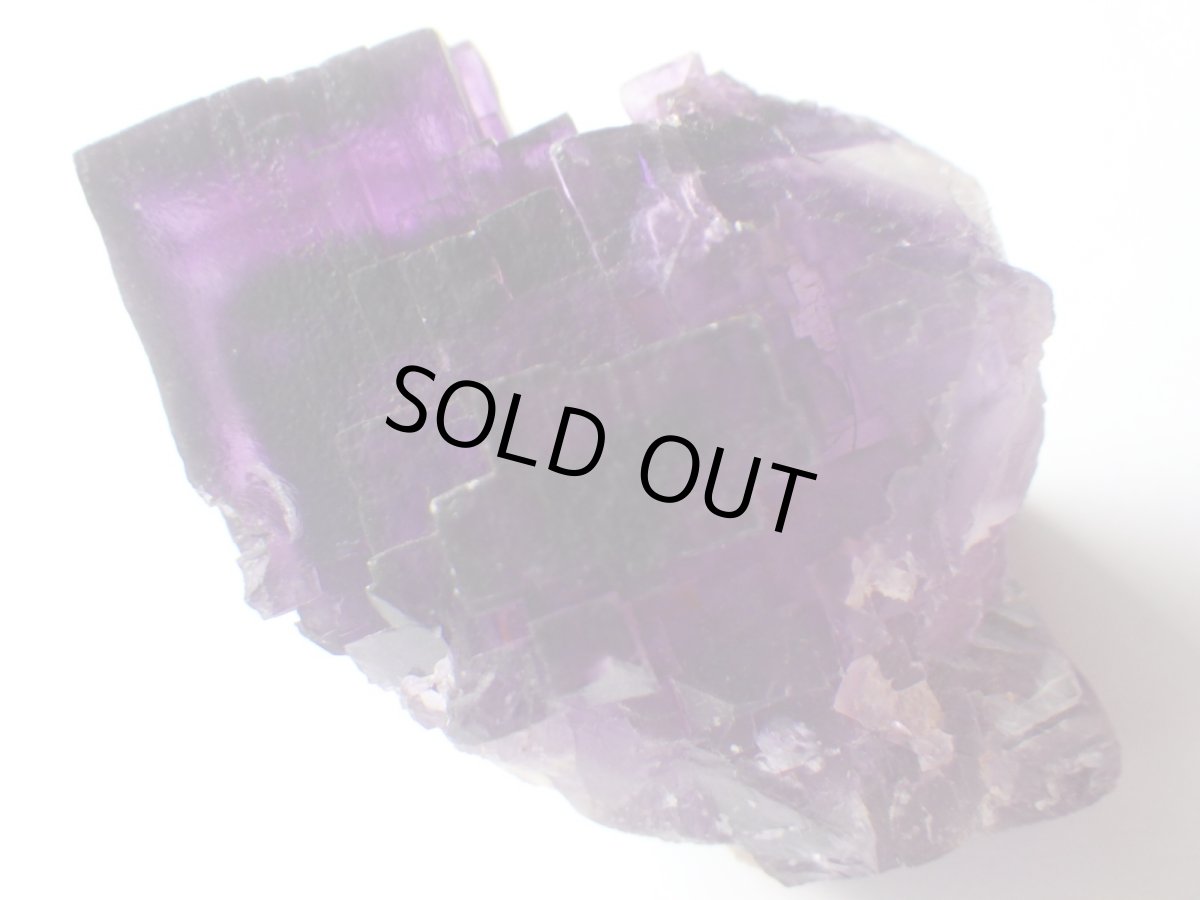 画像2: イリノイフローライトＣ (2)