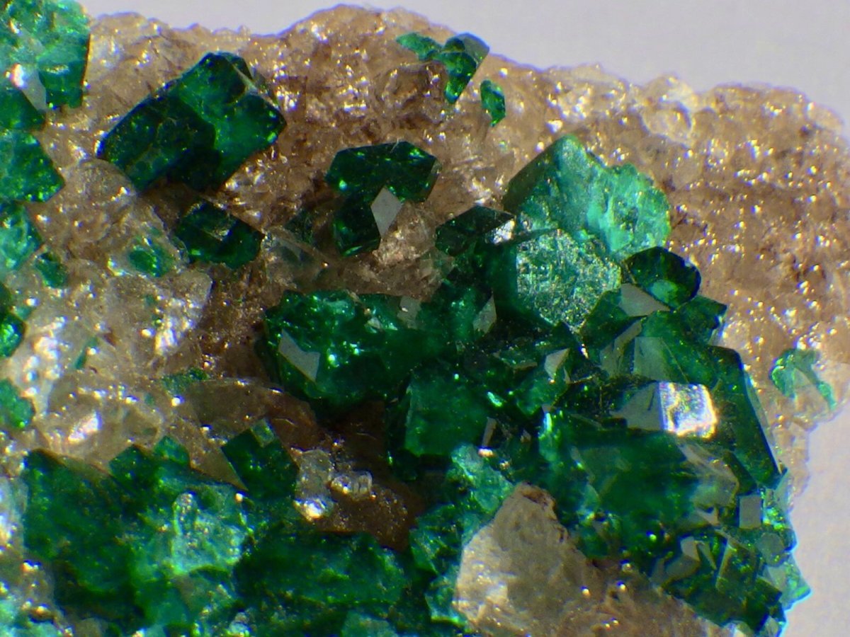 画像3: カザフスタン産ダイオプテーズD (3)