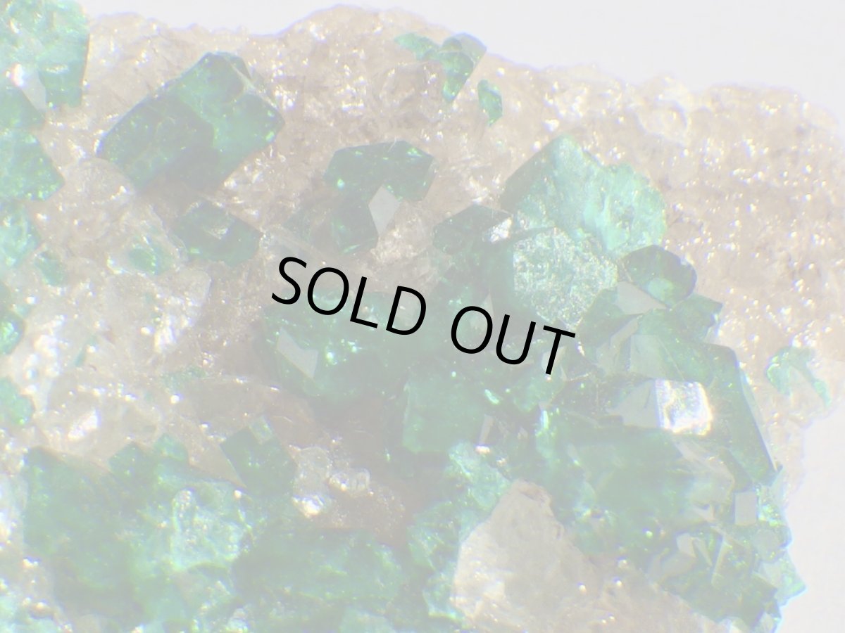 画像3: カザフスタン産ダイオプテーズＤ (3)