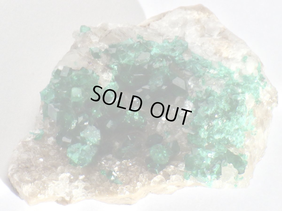 画像4: カザフスタン産ダイオプテーズＤ (4)