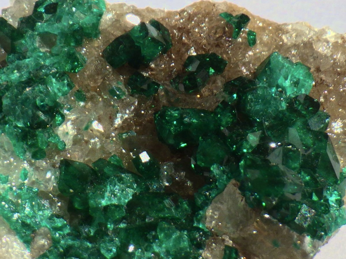 画像5: カザフスタン産ダイオプテーズD (5)