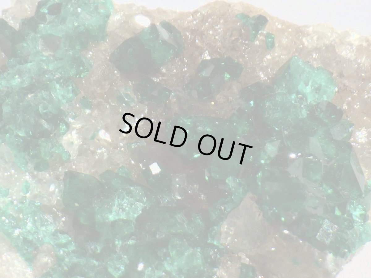 画像5: カザフスタン産ダイオプテーズＤ (5)