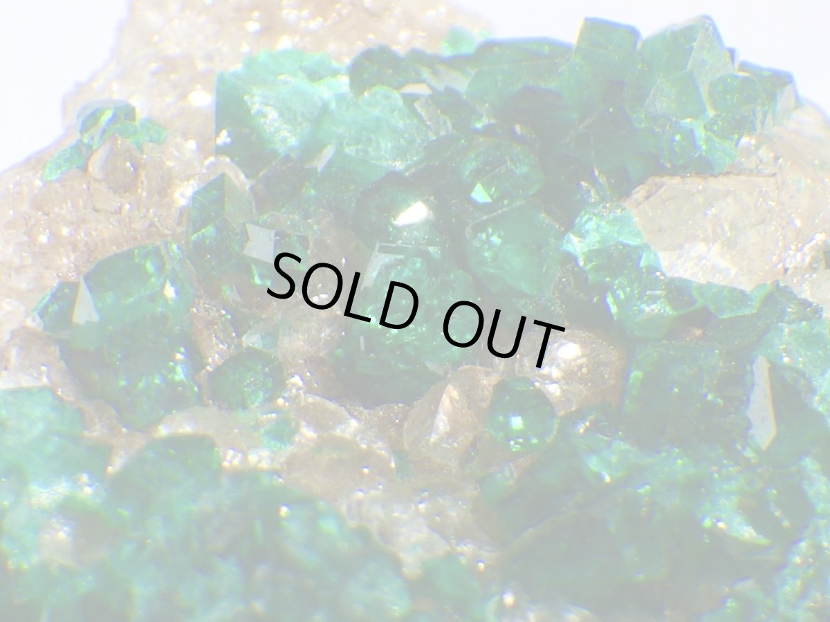 画像1: カザフスタン産ダイオプテーズＤ (1)