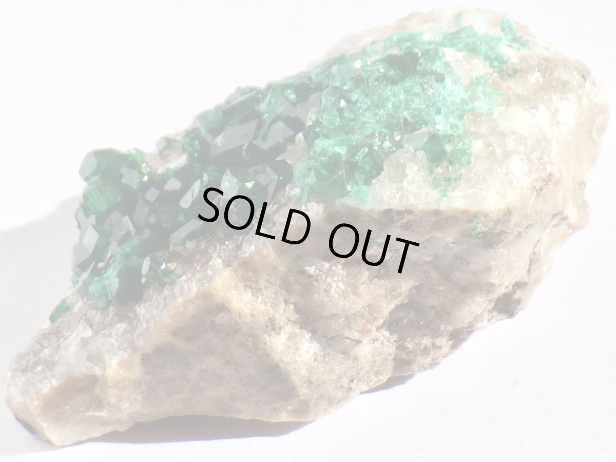 画像7: カザフスタン産ダイオプテーズＤ (7)