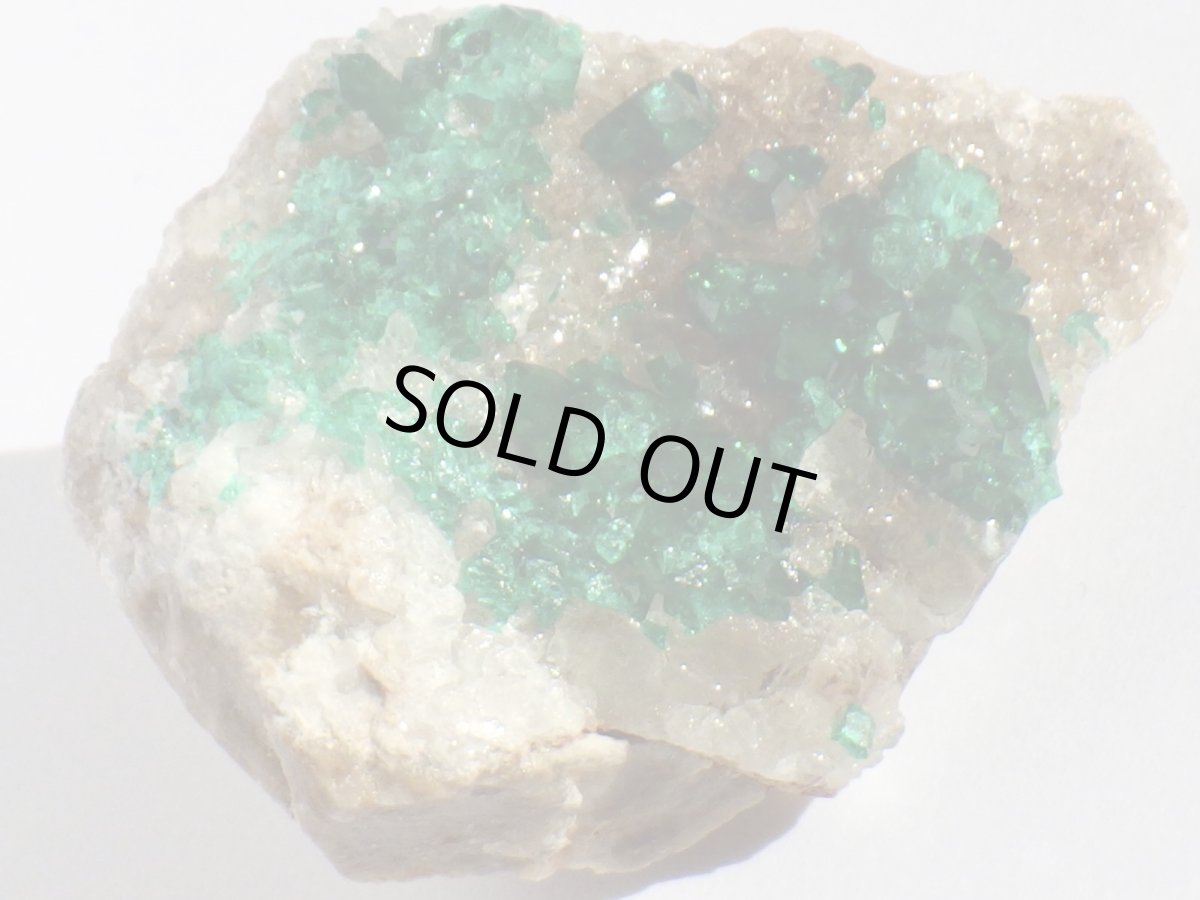 画像2: カザフスタン産ダイオプテーズＤ (2)