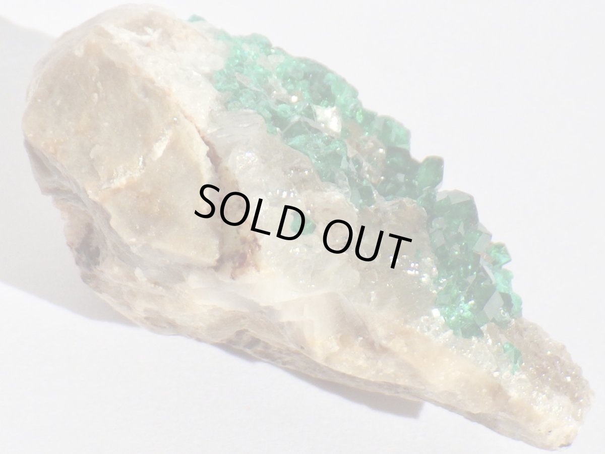 画像6: カザフスタン産ダイオプテーズＤ (6)