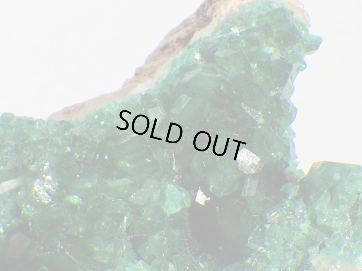 画像2: カザフスタン産ダイオプテーズＢ (2)