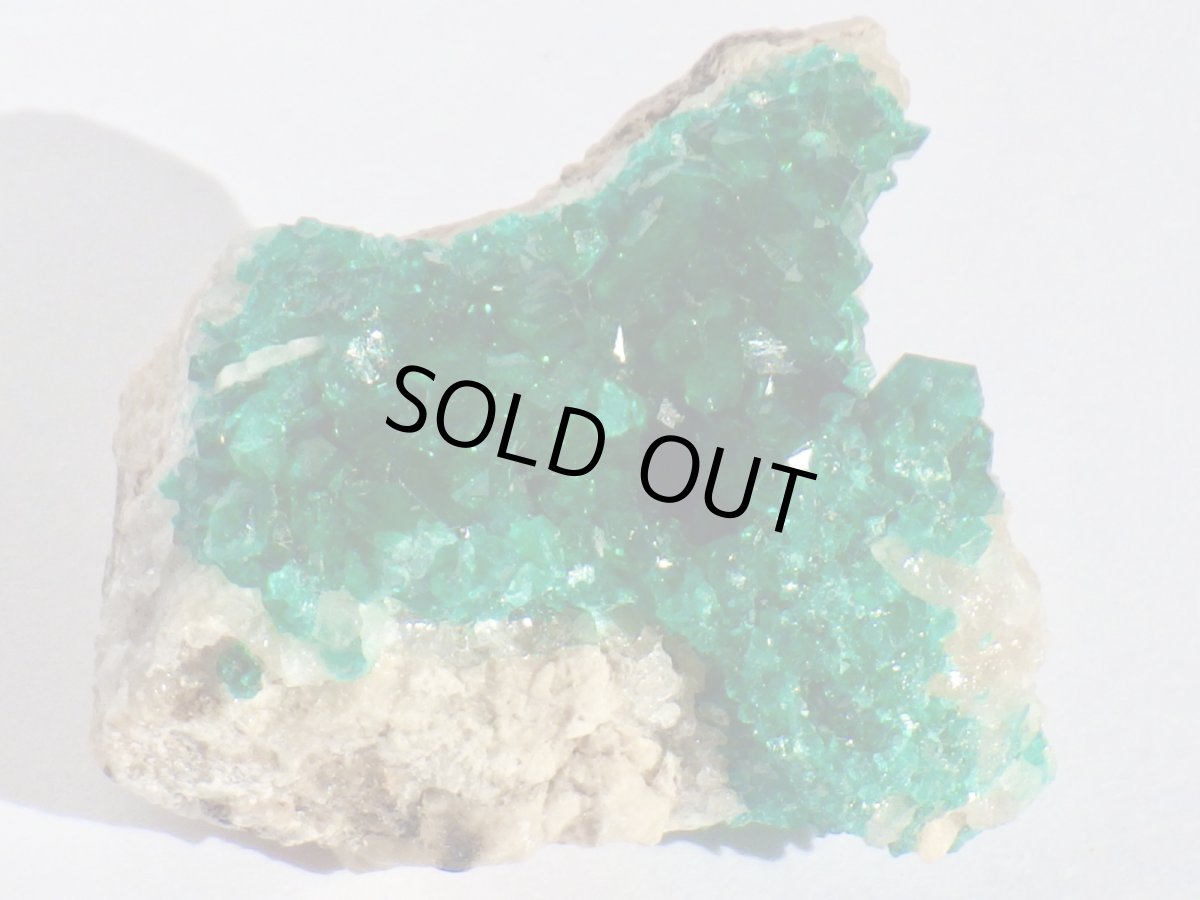 画像1: カザフスタン産ダイオプテーズＢ (1)