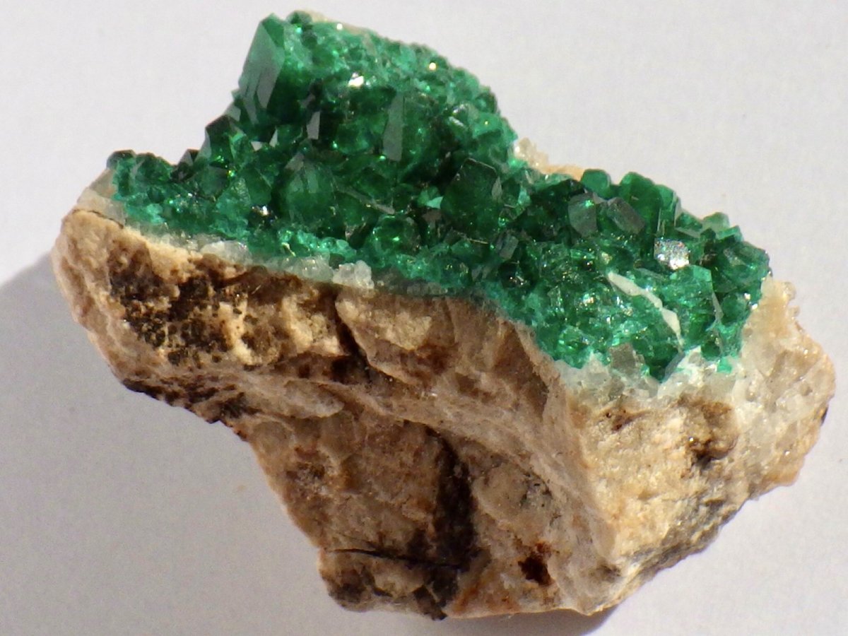 画像3: カザフスタン産ダイオプテーズＢ (3)