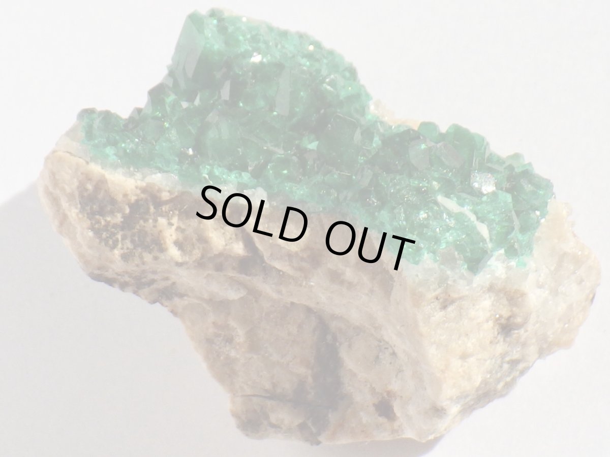 画像3: カザフスタン産ダイオプテーズＢ (3)