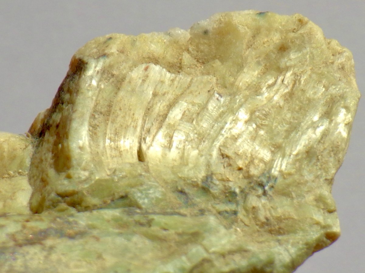 画像5: ブラジル産キャッツアイオパールA (5)