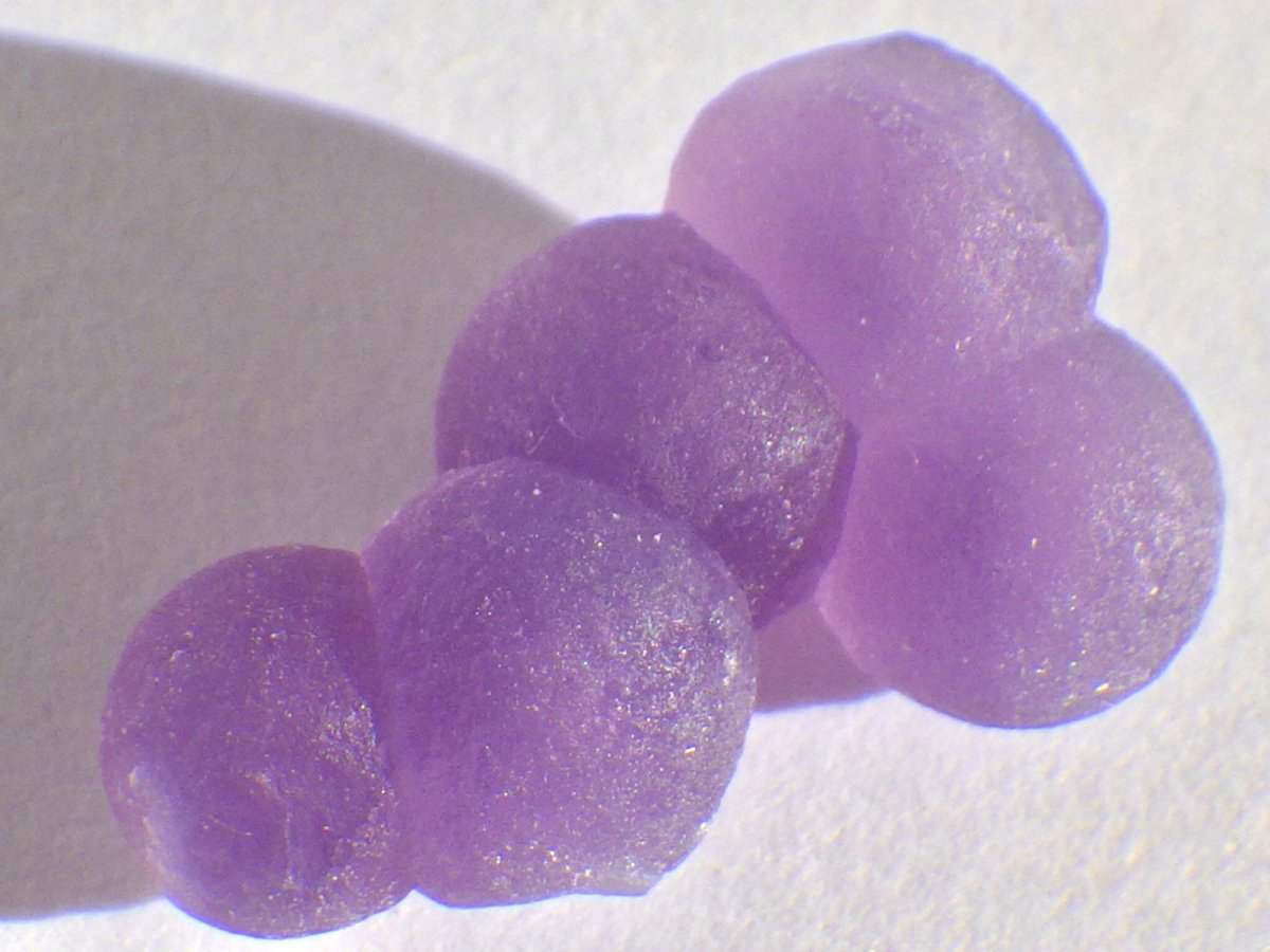 画像2: グレープカルセドニーE (2)