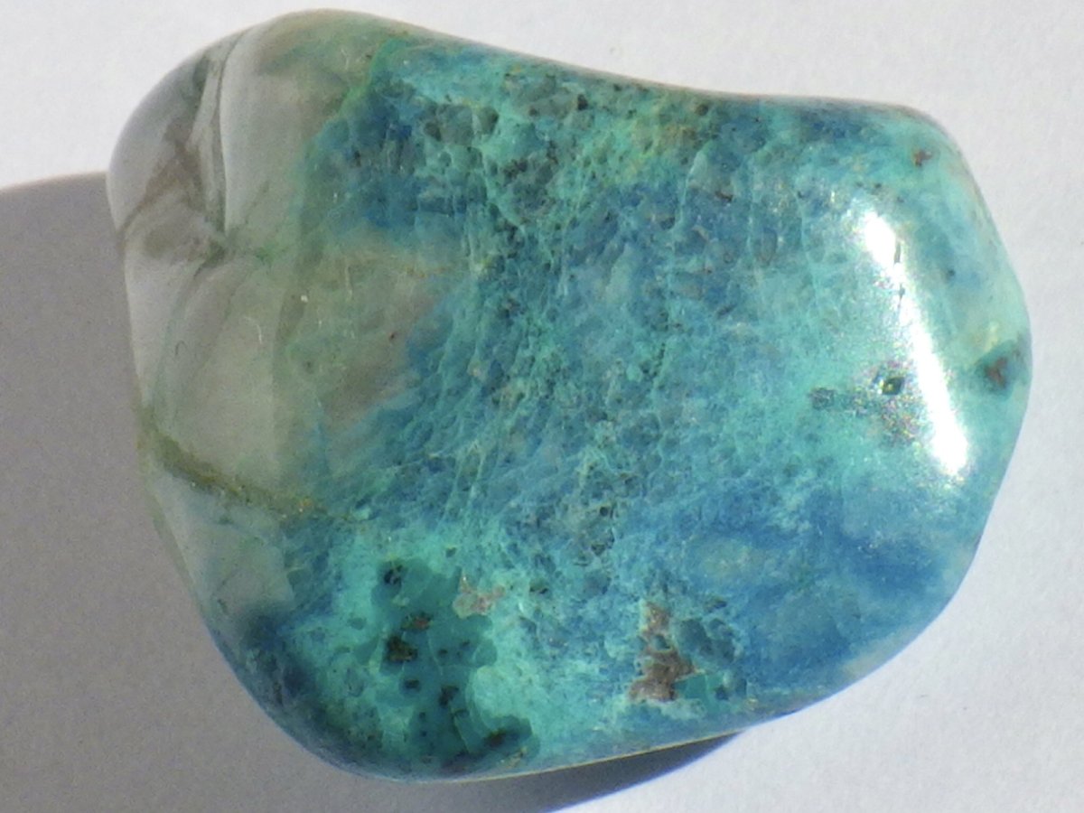 画像3: シャッタカイトタンブルＢ (3)