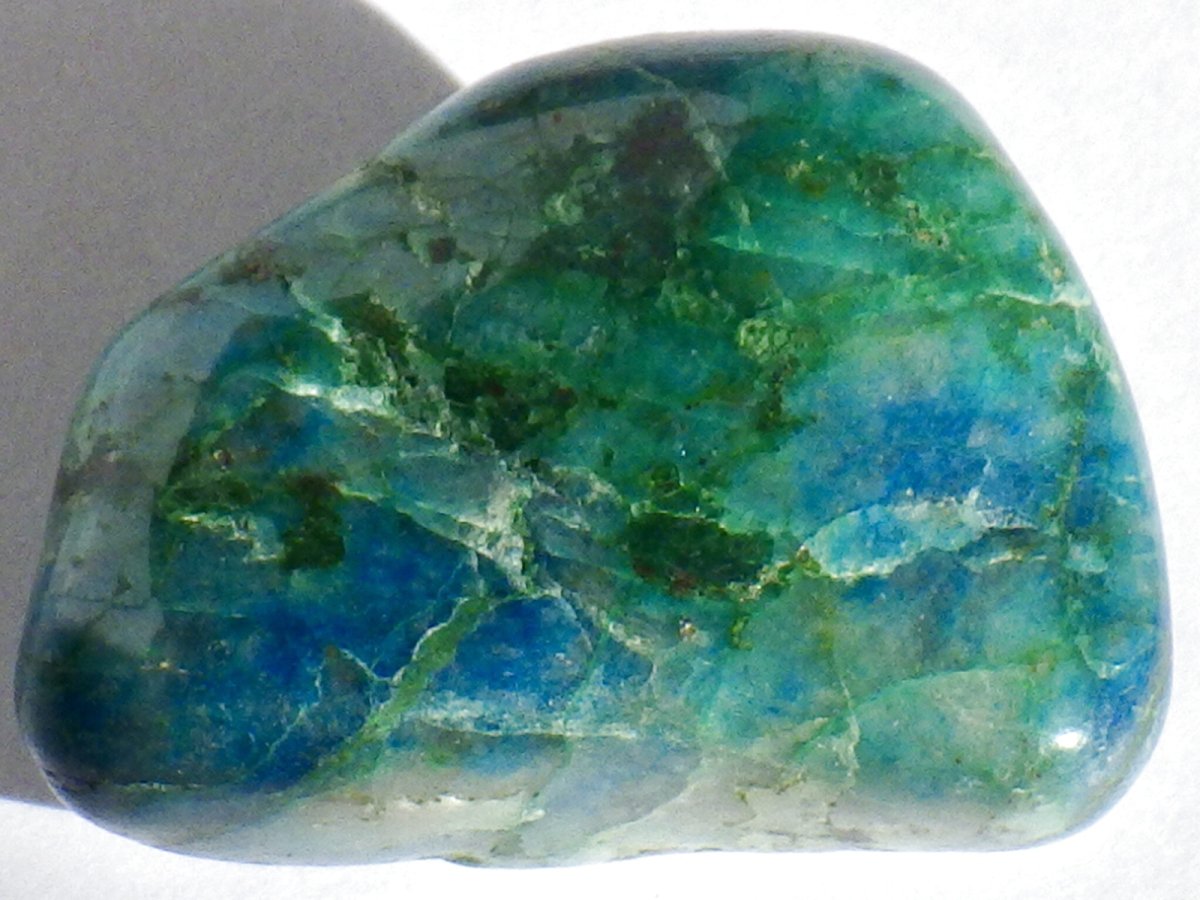 画像3: シャッタカイトタンブルＥ (3)