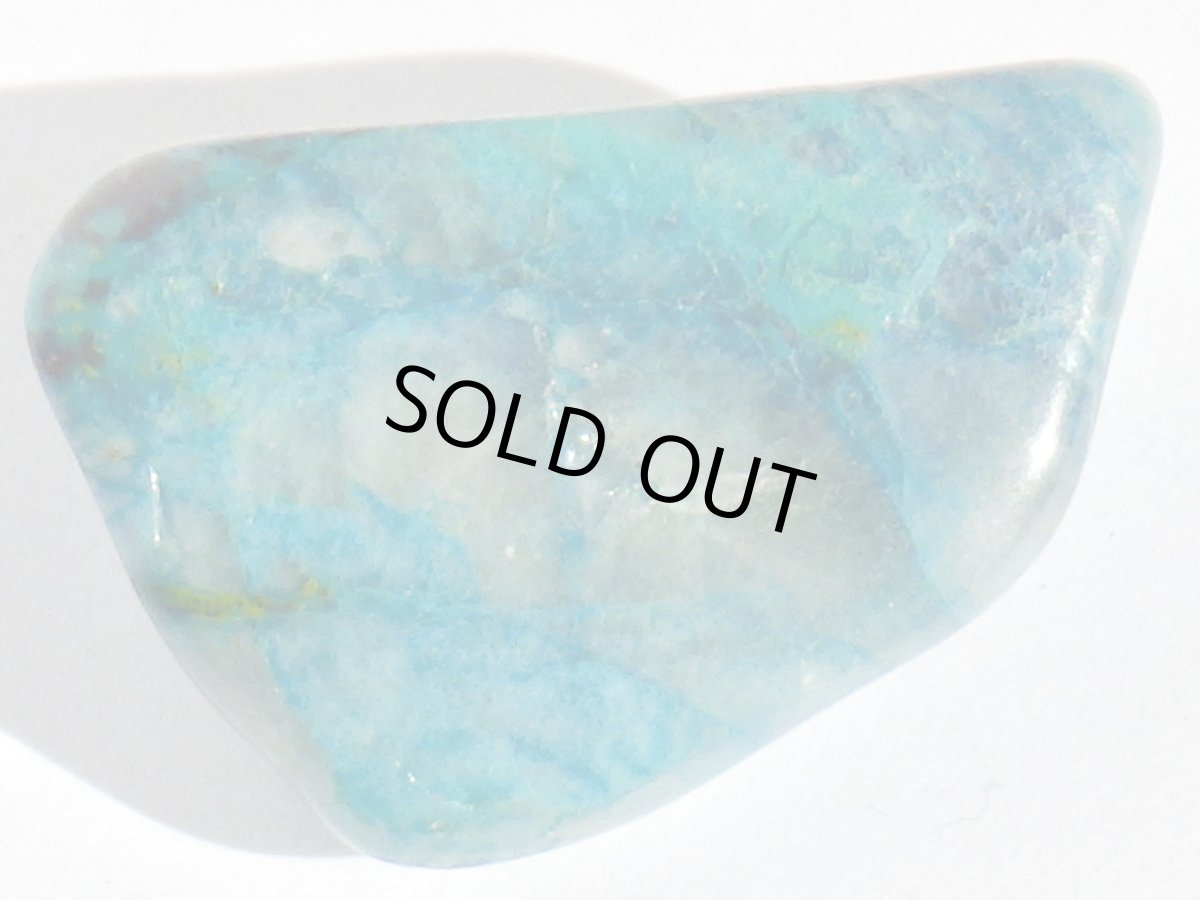 画像2: シャッタカイトタンブルＡ (2)