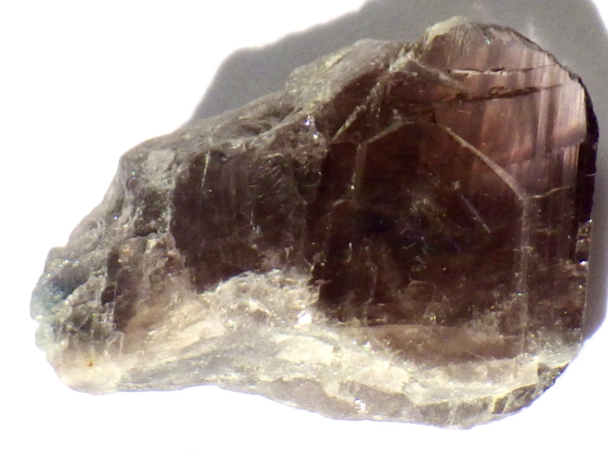 画像3: パキスタン産アキシナイトＥ (3)