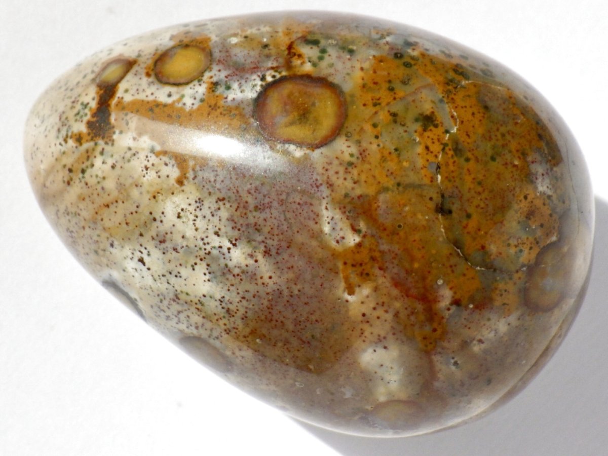 画像3: ジャスパーエッグＥ (3)