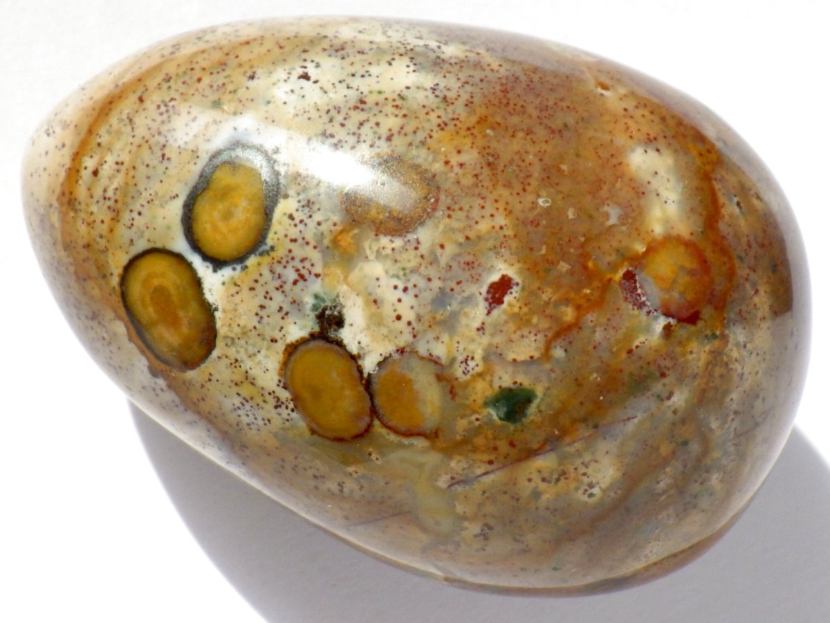 画像4: ジャスパーエッグＥ (4)