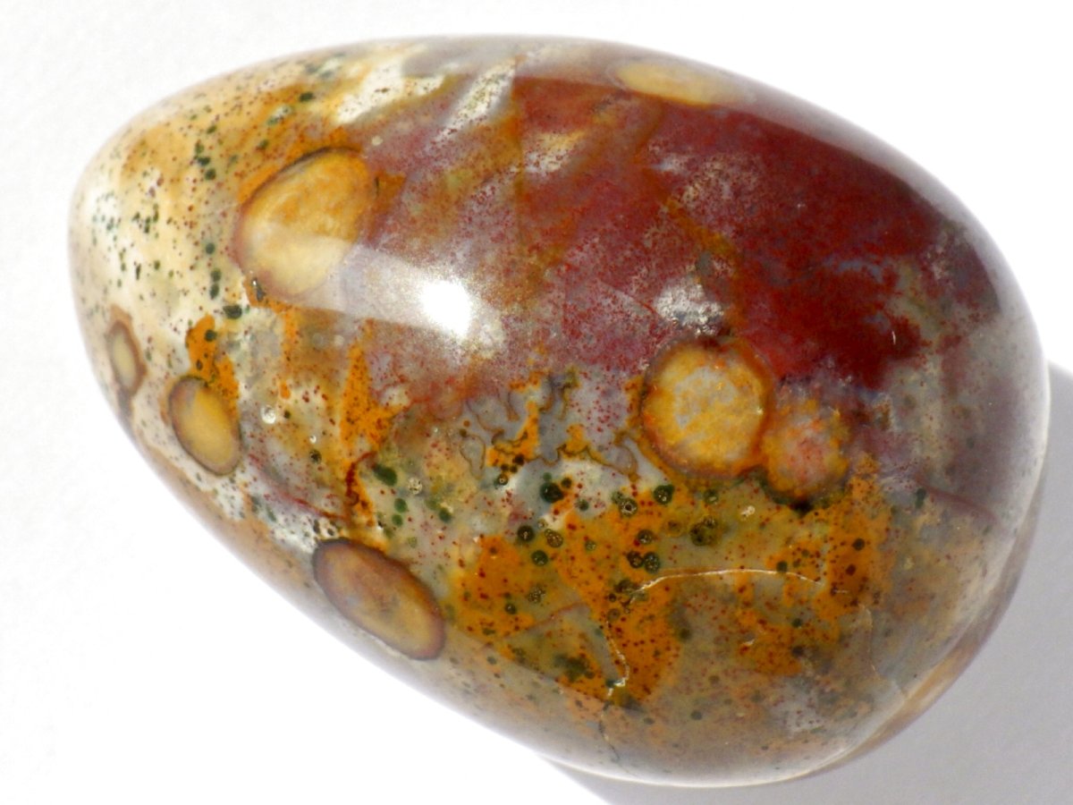 画像2: ジャスパーエッグＥ (2)