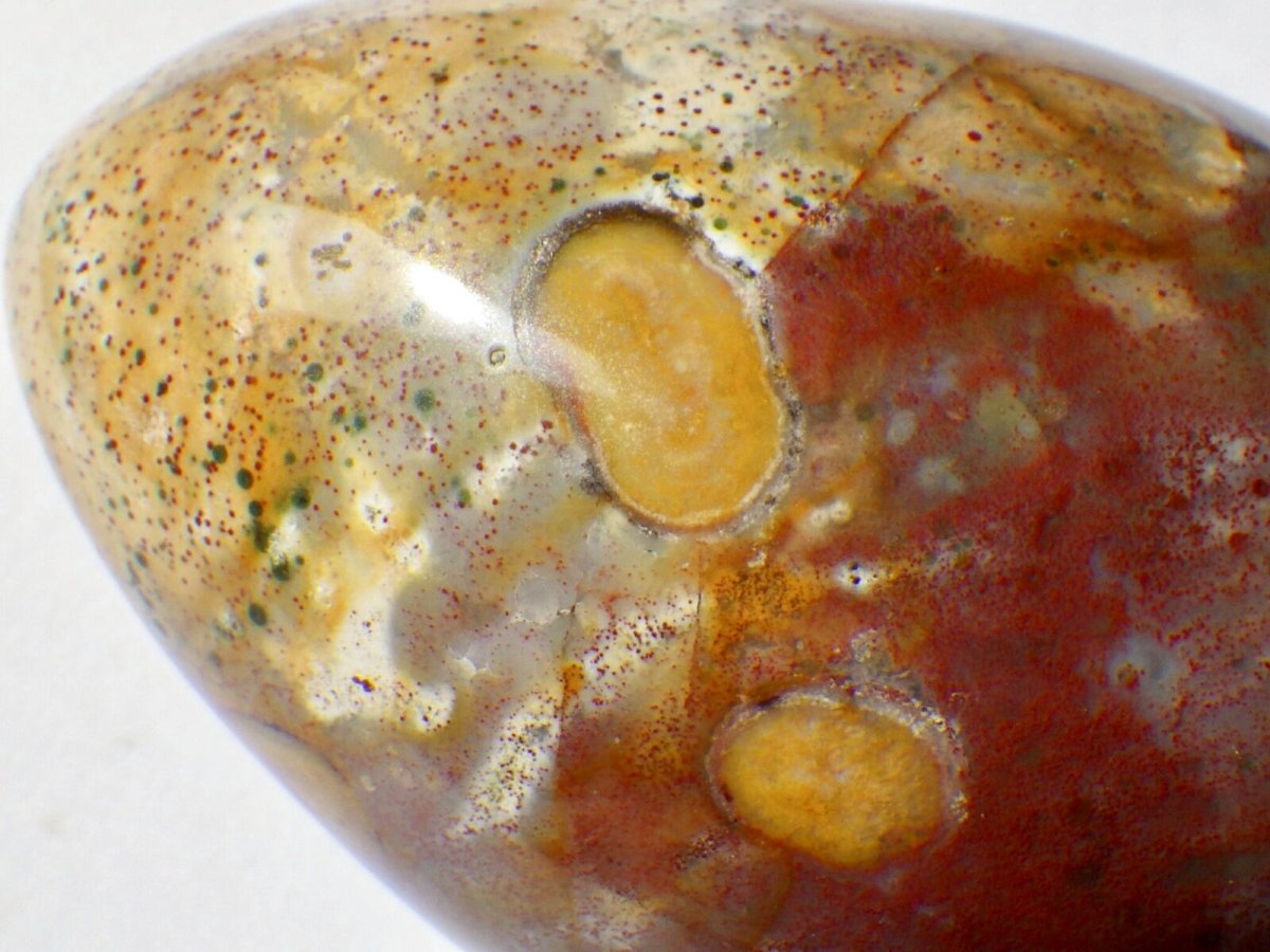 画像5: ジャスパーエッグＥ (5)