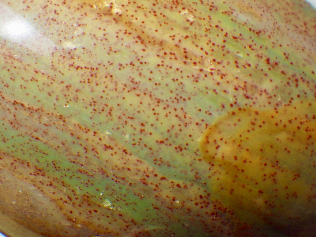 画像6: ジャスパーエッグＤ (6)