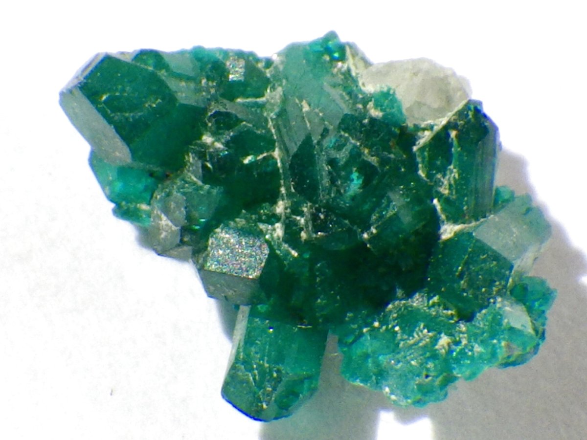 画像3: アリゾナ産ダイオプテーズＤ (3)